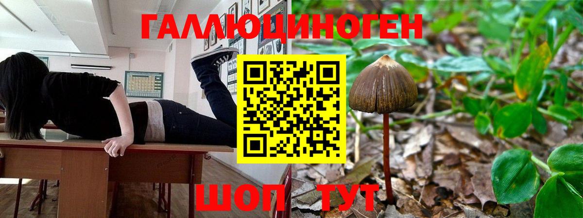 Новосибирск  Галлюциногенные грибы ЛСД  хочу наркоту  Вход с VPN 